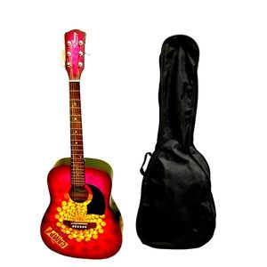 Disney Guitar by Washburn